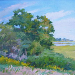 Small sketch of marsh, 8"x10", oil on canvas