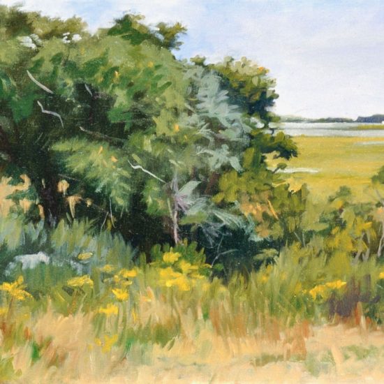 Essex Marsh, 16"x20", oil on canvas