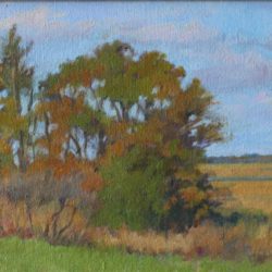 Essex Marsh in Fall, oil on panel, 8"x16", $500