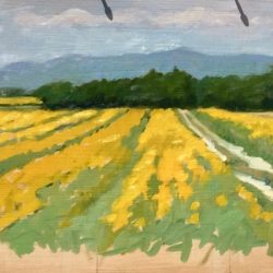 Sketch of Sunflower Field , 12'x18", oil on panel