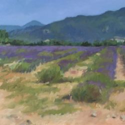 Lavender Field with Road 10'x20", oil on panel