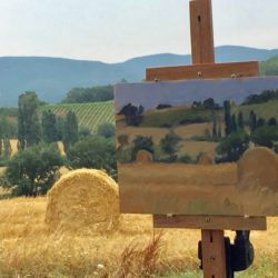 Field of hay bales