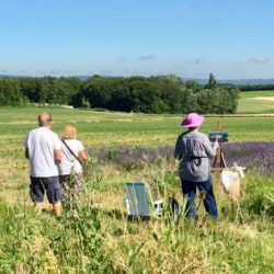 Workshop group painting lavender field