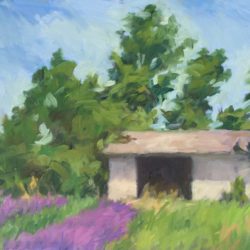 Shed by Lavender Field, 9"x12"