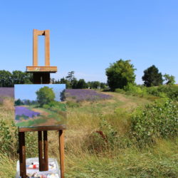 Painting tree by lavender field in France