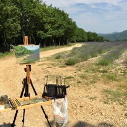 Painting lavender field in France
