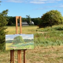 Painting a tree in the marsh in Essex, MA