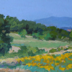 Sunflowers in France, oil on panel, 6"x12"