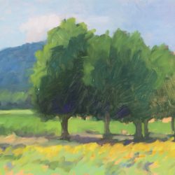 Row of Plane Trees with Sunflowers II, 8"x12", oil on panel