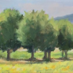 Row of Plane Trees III, 6"x12", oil on panel