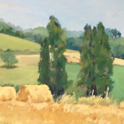 Two Poplar Trees with Hay Bales, 8"x16", oil on panel